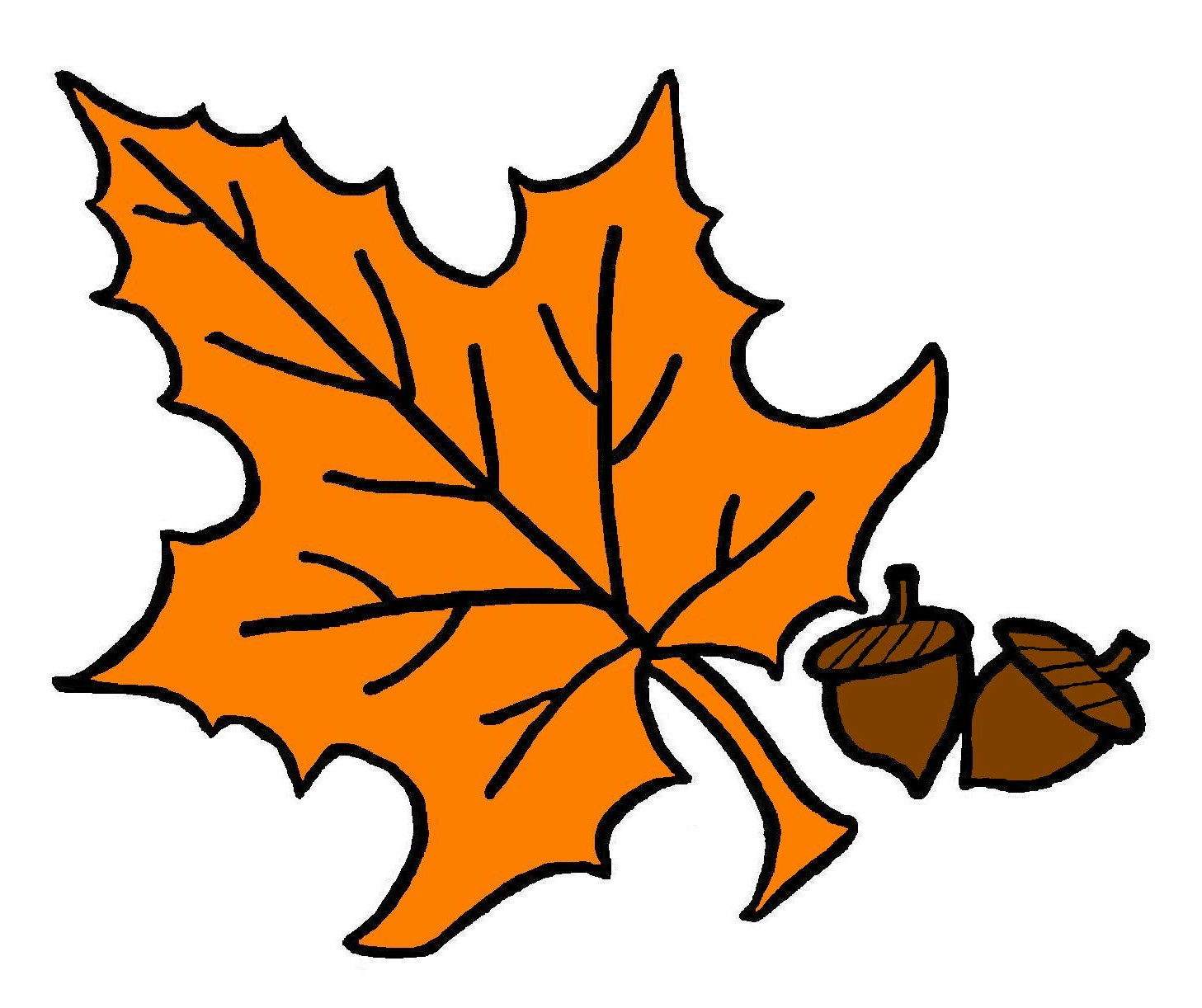 Autumn leaf clipart free