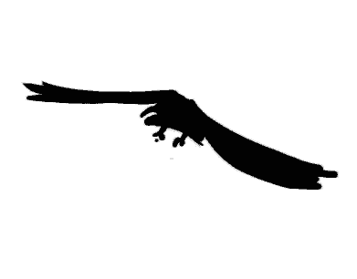 Fly Bird.gif - ClipArt Best