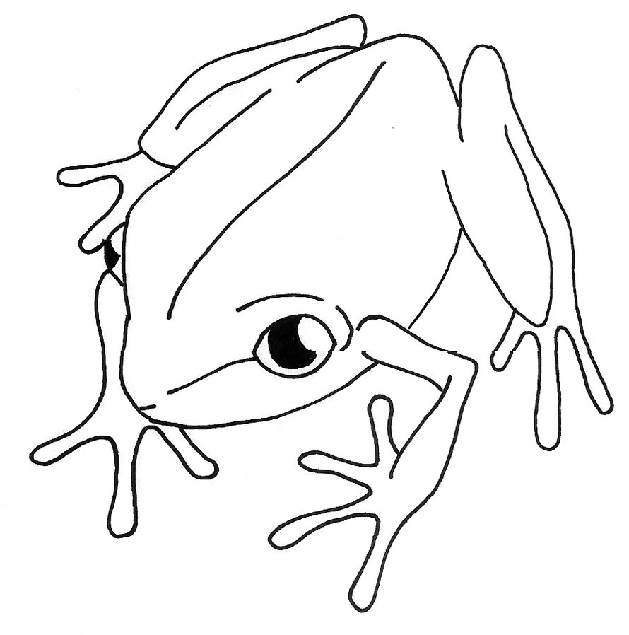 Simple Line Drawings Of Animals - ClipArt Best