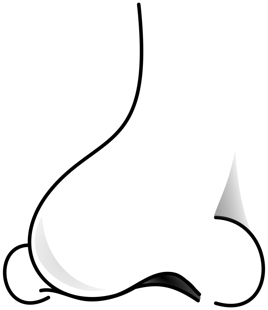 Nose Clipart - Tumundografico