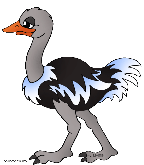Ostrich clip art