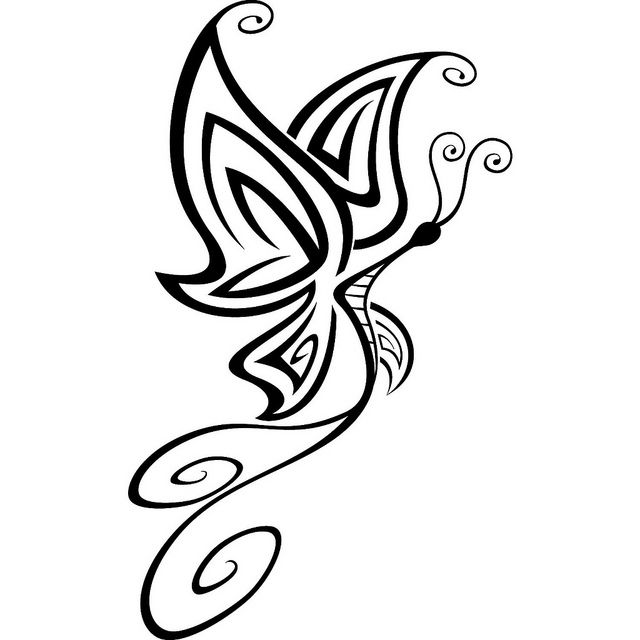 1000+ images about line art - butterfly