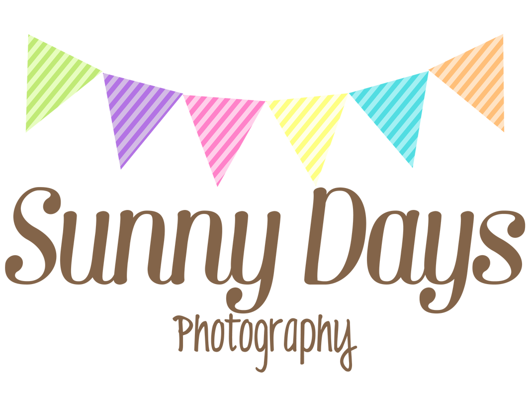 Blog Web Rainbow Bunting Stripes - Stephabee Graphic Design
