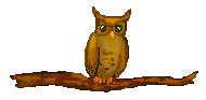 Owl Clip Art - Free Owl Clip Art - One Owl Sitting on a Tree Branch
