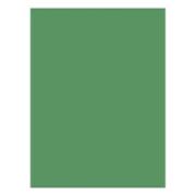 Nature Saver Wide Rule Loose Leaf Notebook Paper Packs : Paper ...