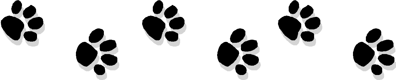 Animated Paw Prints