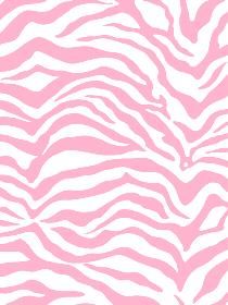 All About Zebra
