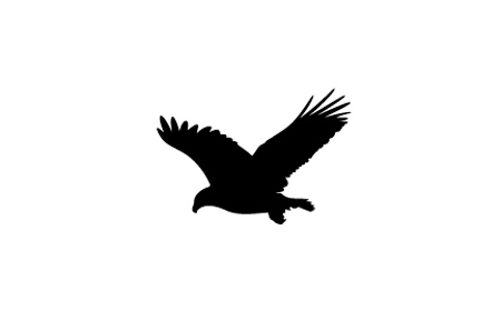 Eagle vector