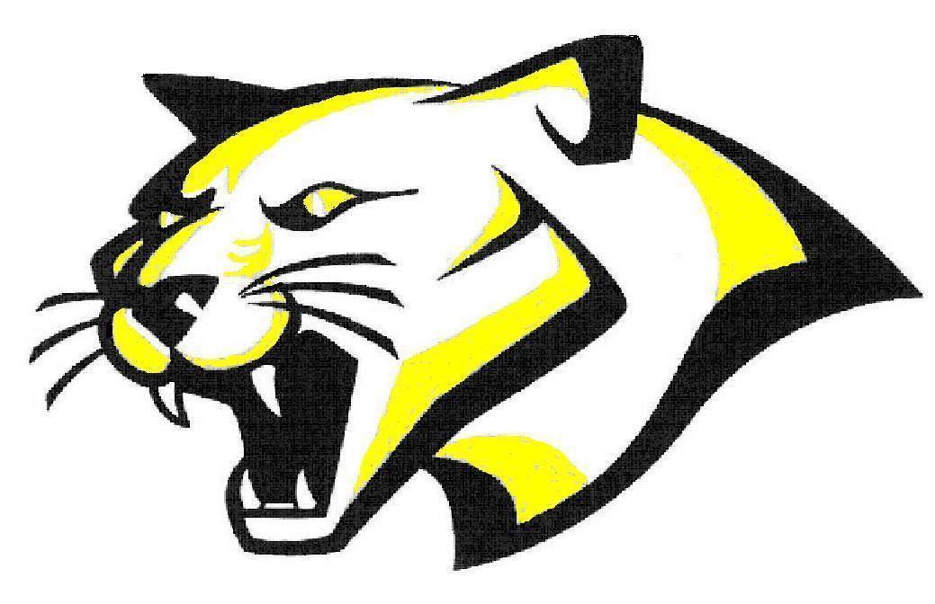 Cougar Mascot Clipart - Tumundografico