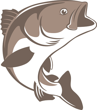 Silhouette Of A Walleye Pike Clip Art, Vector Images ...