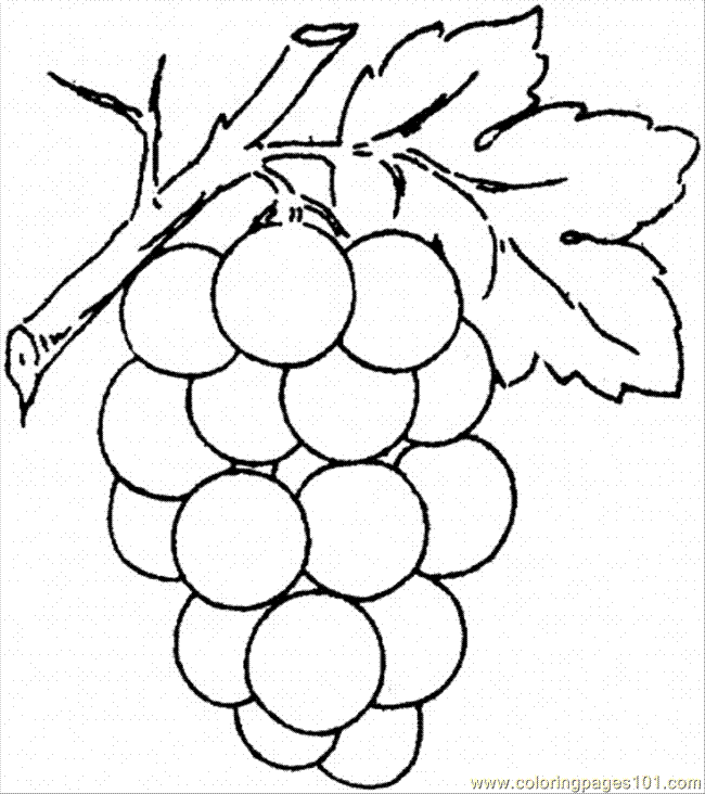 Grapes Drawing | Free Download Clip Art | Free Clip Art | on ...