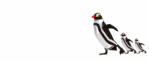 Free Animated Penguins Gifs, Free Penguin Animations and Clipart
