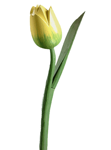 PSD emplate: Animated Flower psd/Flower clip art