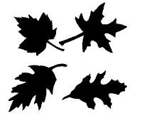 Studios, Autumn and Commercial