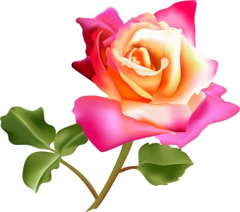 Pretty Flower Clipart