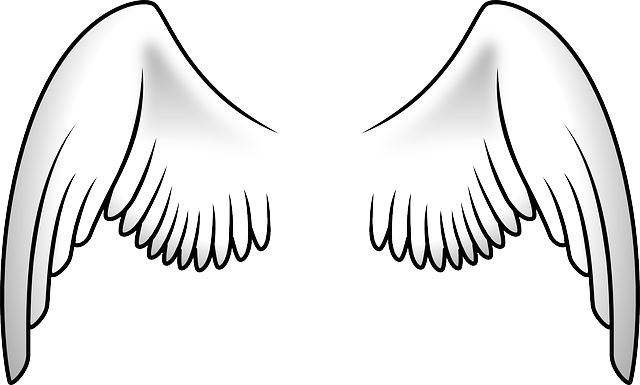 Angel Halo Wings PNG Picture | PNG Mart