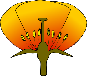 Flower clip art Free Vector