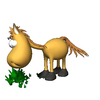 ANIMATED HORSES