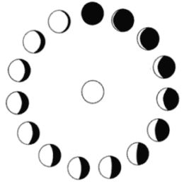 1000+ images about Lunar cycle