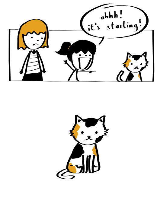 How Calico Cats Give Birth – Pleated-Jeans.com