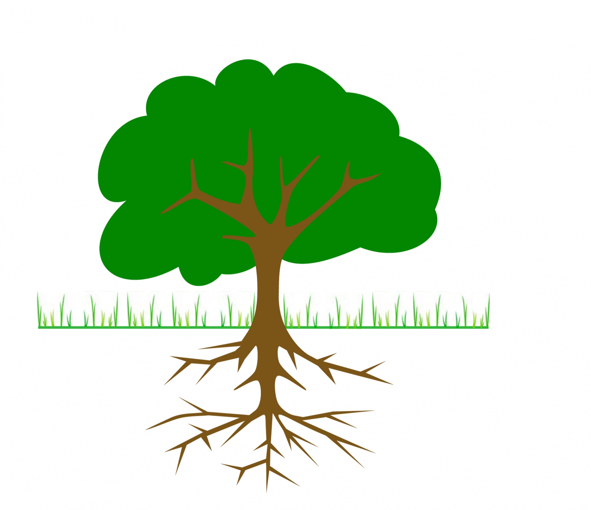 Tree Illustration Free Stock Photo - Public Domain Pictures