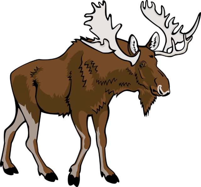 Free Moose Clipart Pictures - Clipartix