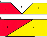 AuthorMapper