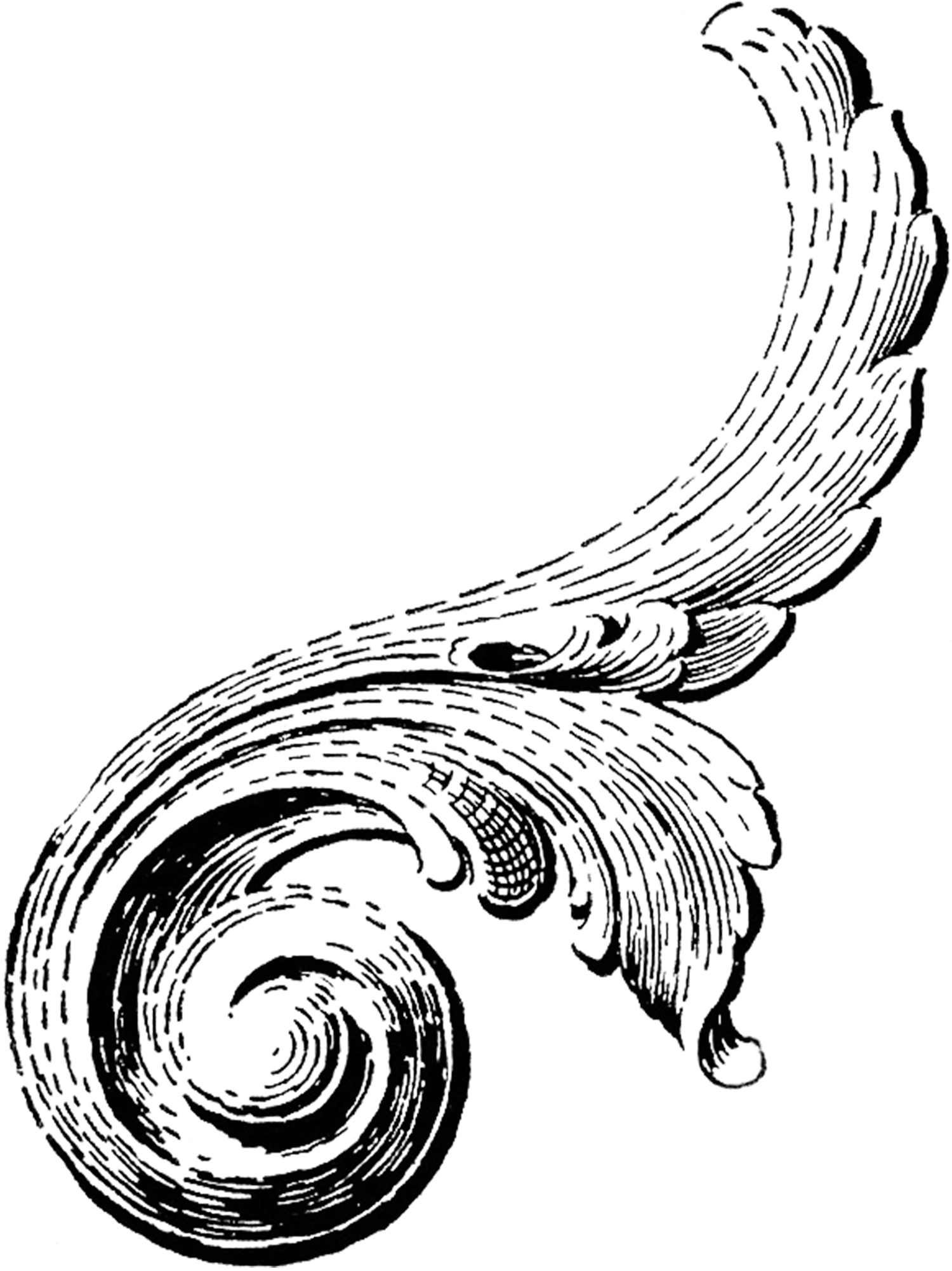 Vintage Scroll Ornament Images - The Graphics Fairy
