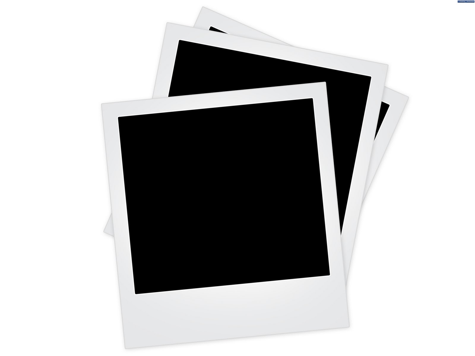 Polaroid Vector
