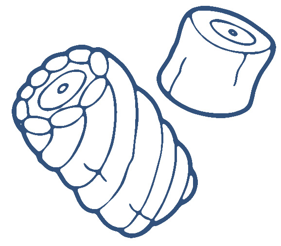 Marshmallow Clip Art - ClipArt Best