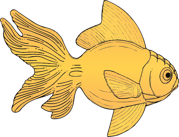 Golden Fish Clip Art - vector clip art online ...