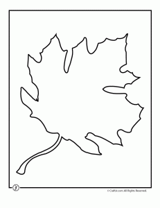 Leaf Template Printables | Craft Jr.