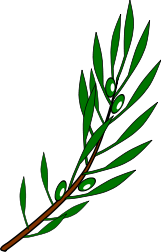 Olive branch drawing.svg