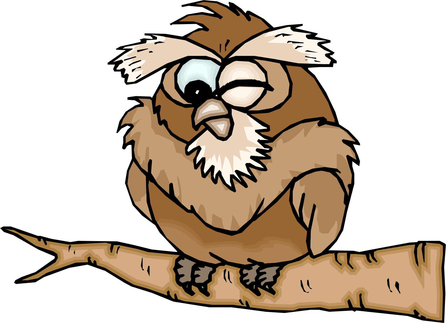 View larger image · Winking owl