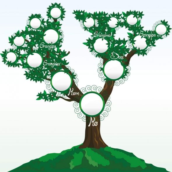 Free Online Family Tree Maker