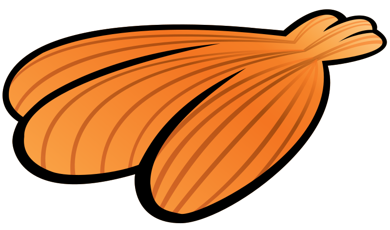 Clipart - Summer Seashell