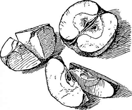 Fruit black white clip art Free vector for free download (about 11 ...
