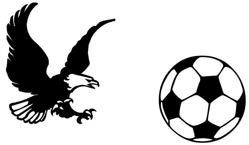 bald eagle clip art | Hostted