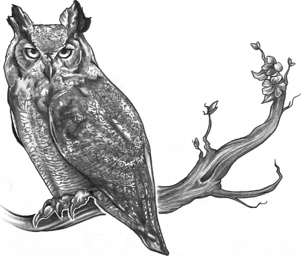 best owl tattoo designs gallery