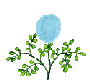 Blue_flower.gif