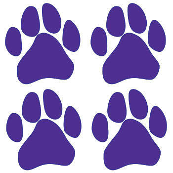 Mascot Temporary Tattoos, Mascot Funtoo