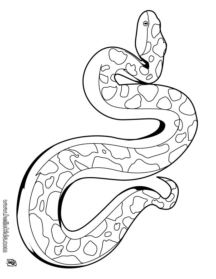 snake of the year coloring sheet