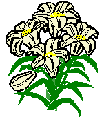 Easter Lily Clip Art Free - ClipArt Best