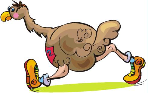 Ostriches Clip Art