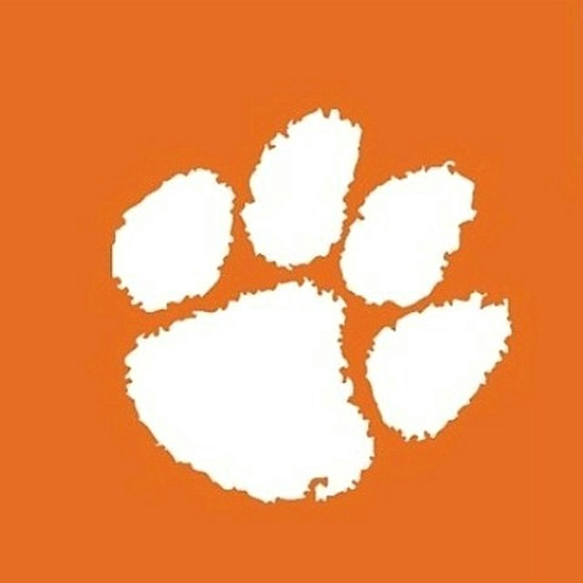 Orange Clemson Canopy Tent Wall for Logo Brand Tailgate Tent