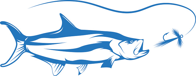 Tarpon Clip Art, Vector Images & Illustrations