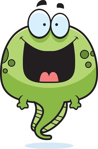 Tadpole Clip Art, Vector Images & Illustrations
