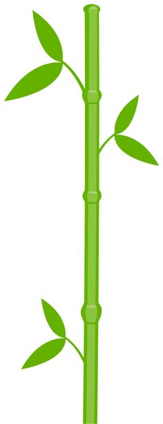 Bamboo clipart png