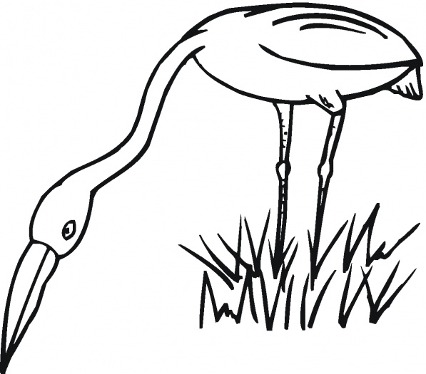 Coloring Pages Of Grass - ClipArt Best