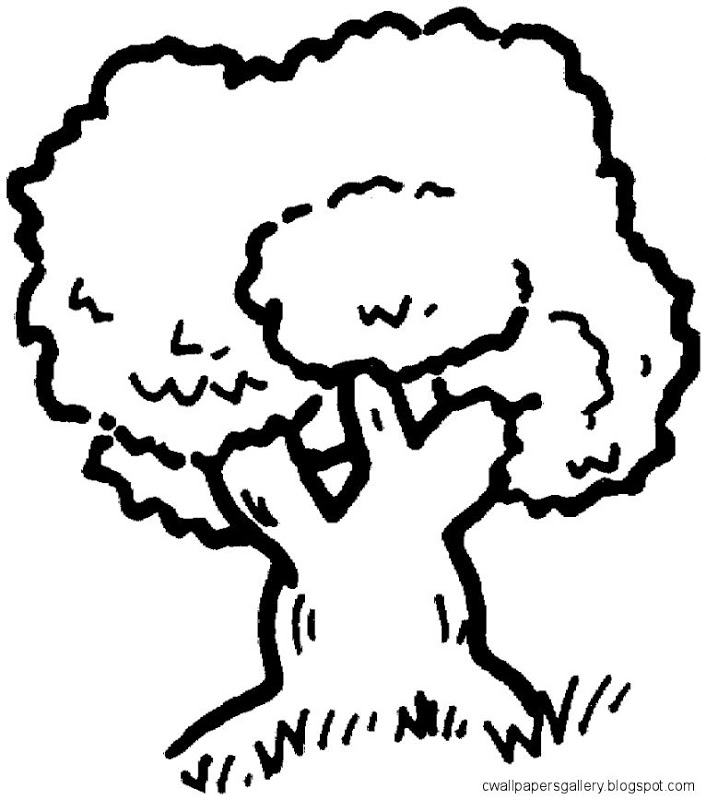 Clipart black and white trees - ClipartFox
